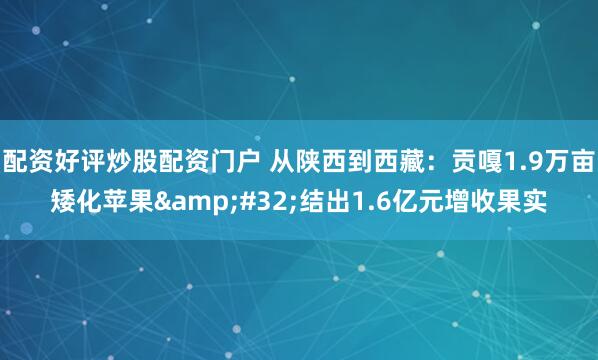 配资好评炒股配资门户 从陕西到西藏：贡嘎1.9万亩矮化苹果 结出1.6亿元增收果实